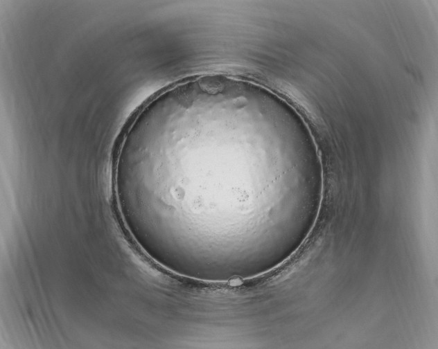 X0000110951079200906261316