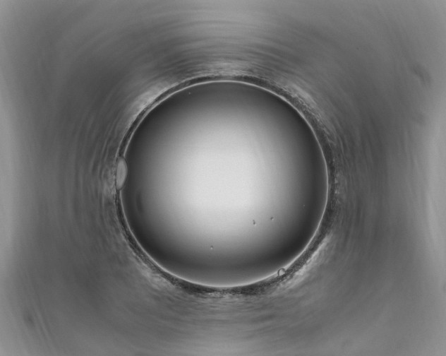 X0000110951081200906261316