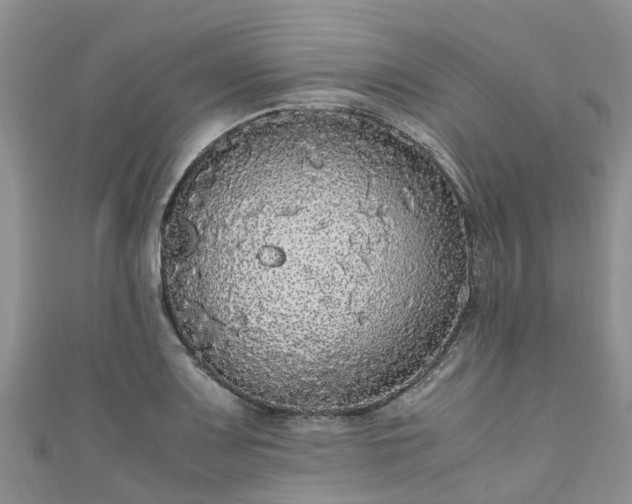 X0000110951083200906261316