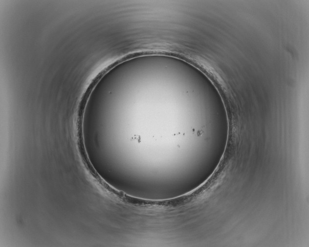 X0000110951085200906261316