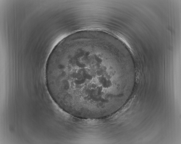 X0000110951087200906261316