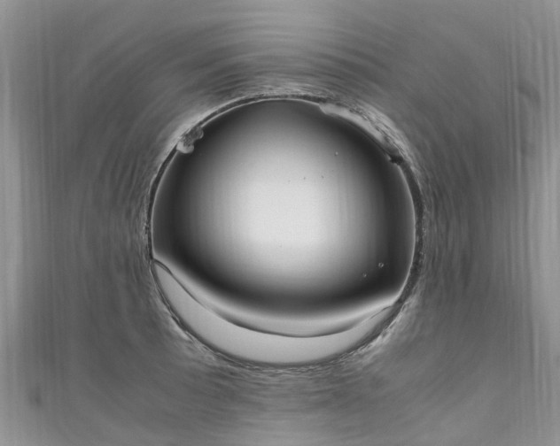 X0000110951089200906261316