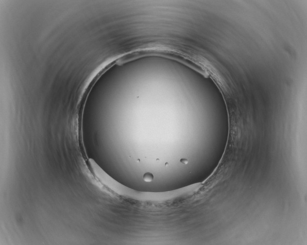 X0000110951092200906261316