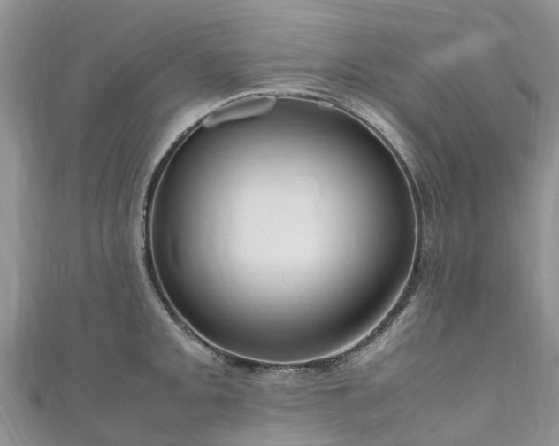 X0000110951093200906261316