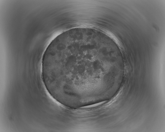 X0000110951095200906261316