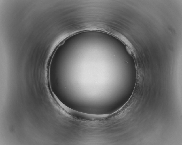 X0000110951096200906261316