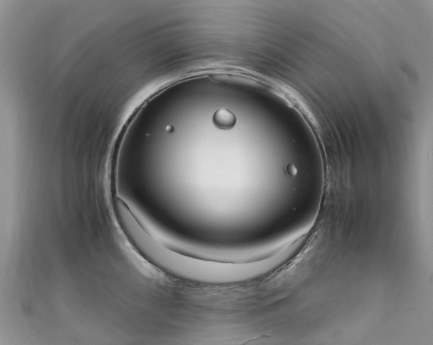 X0000110951098200906261316