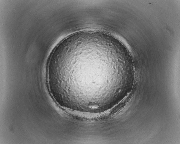 X0000110951099200906261316