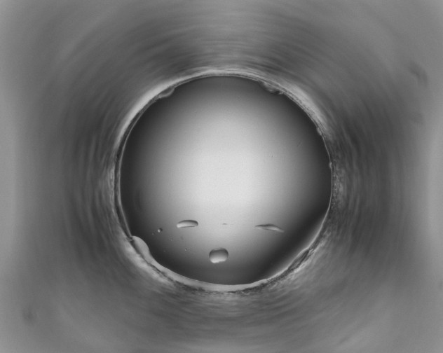 X0000110951100200906261316