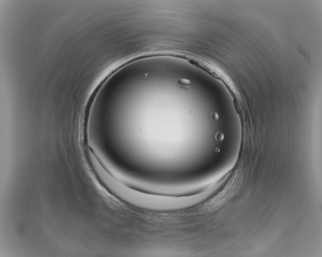 X0000110951101200906261316