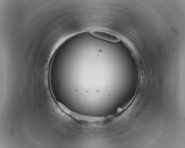 X0000110951102200906261316