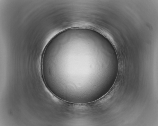 X0000110951103200906261316