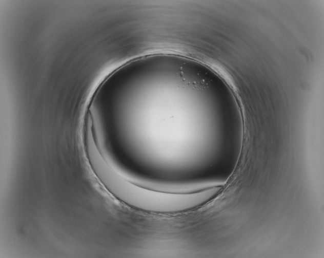 X0000110951104200906261316