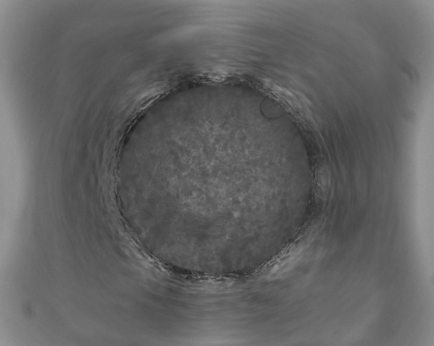 X0000110951105200906261315