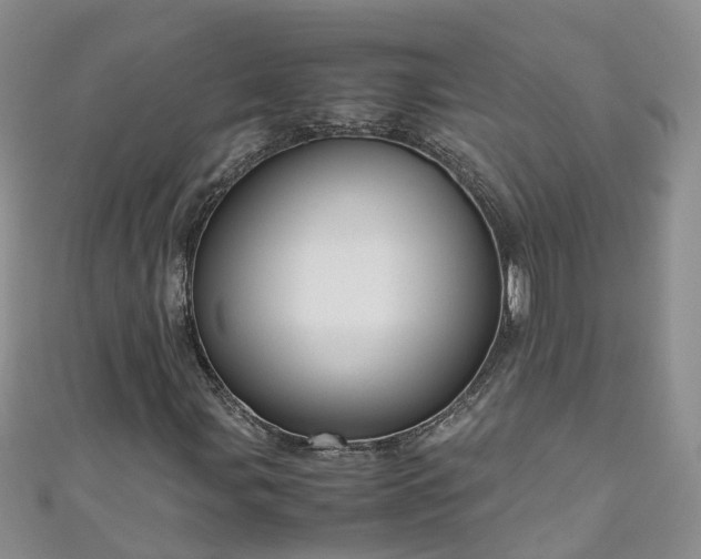 X0000110951107200906261315