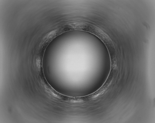 X0000110951108200906261315