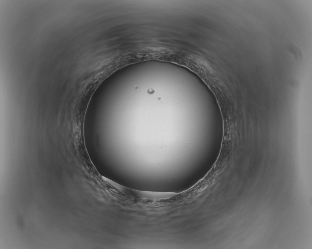 X0000110951109200906261315