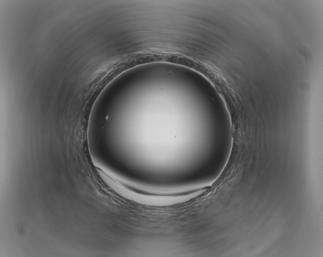 X0000110951110200906261315