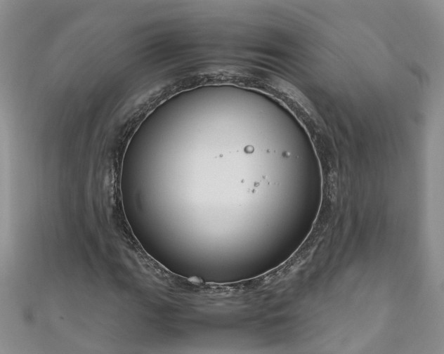 X0000110951111200906261315