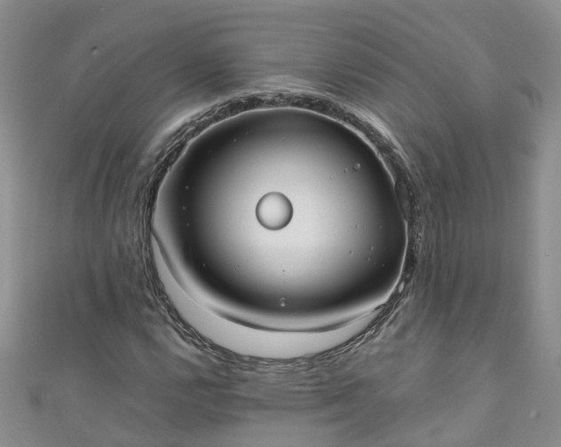 X0000110951112200906261315