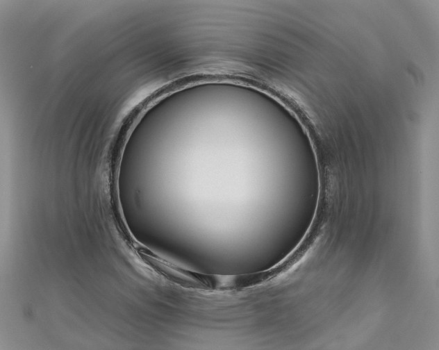 X0000110951114200906261315