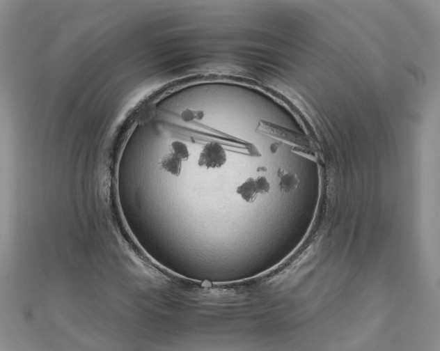 X0000110951115200906261315