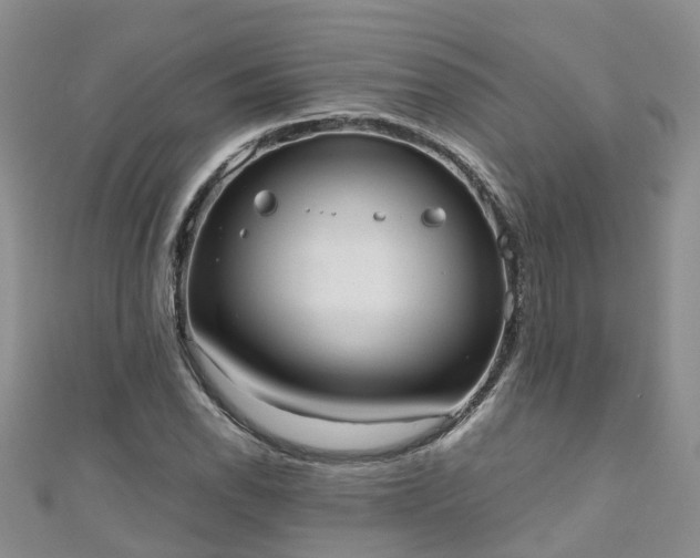 X0000110951118200906261315