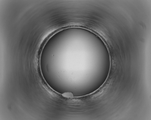 X0000110951119200906261315