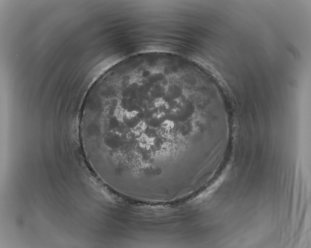 X0000110951121200906261315