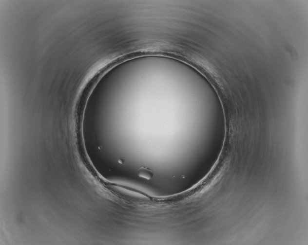 X0000110951122200906261315