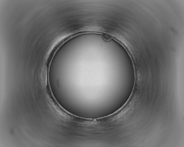 X0000110951123200906261315