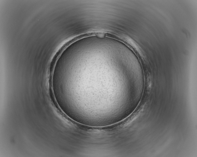 X0000110951124200906261315