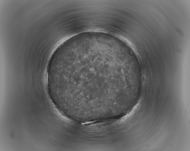 X0000110951125200906261315