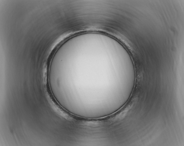 X0000110951126200906261315