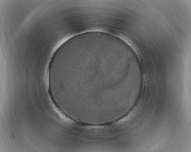 X0000110951127200906261315