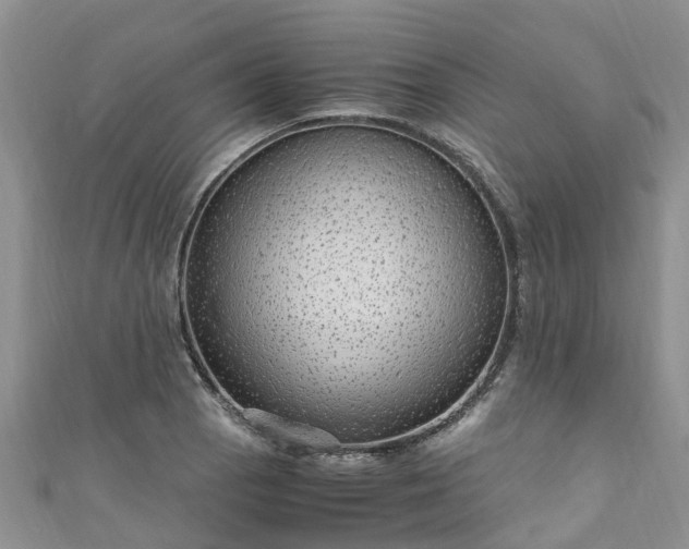 X0000110951129200906261315