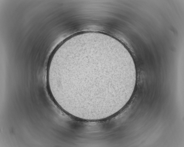 X0000110951130200906261315