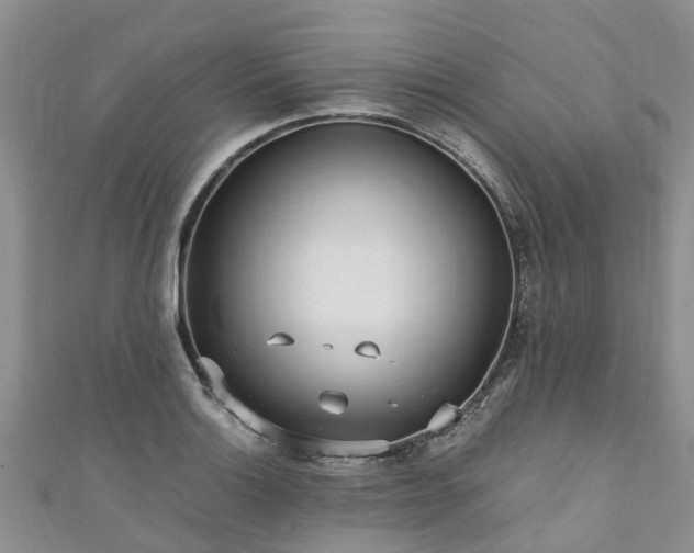 X0000110951132200906261315