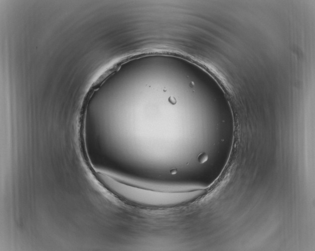 X0000110951134200906261315