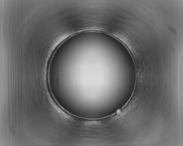 X0000110951135200906261315
