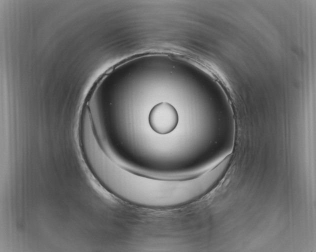 X0000110951136200906261315