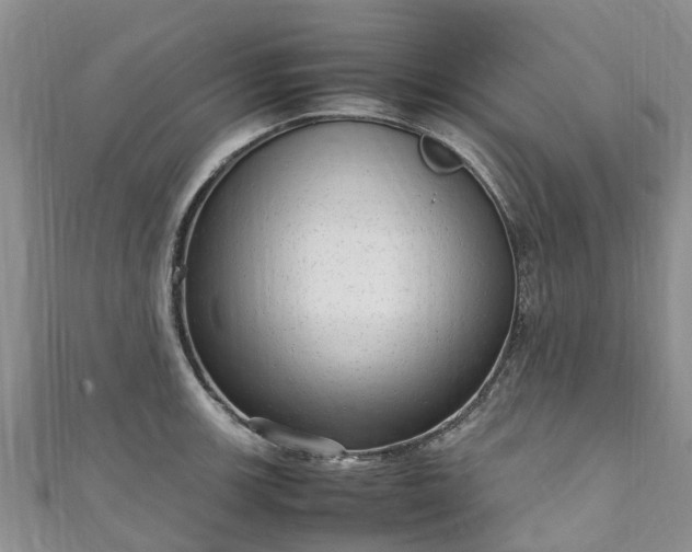 X0000110951139200906261315