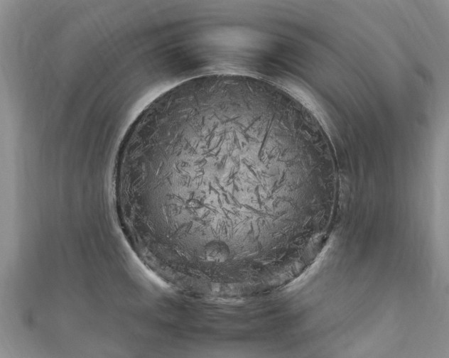 X0000110951141200906261315