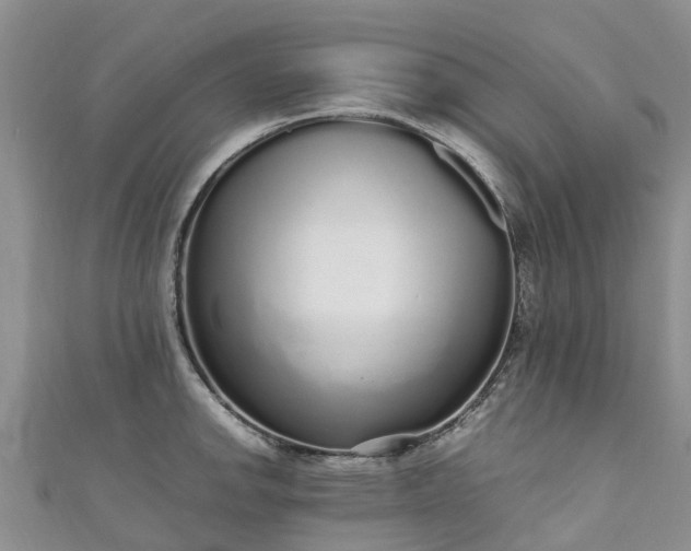 X0000110951142200906261315