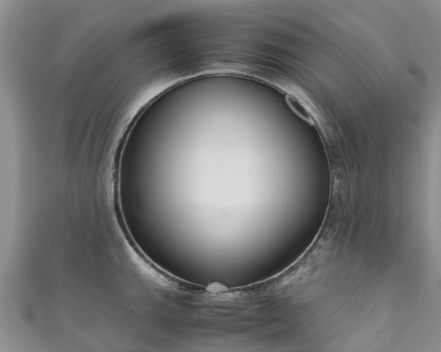 X0000110951143200906261315