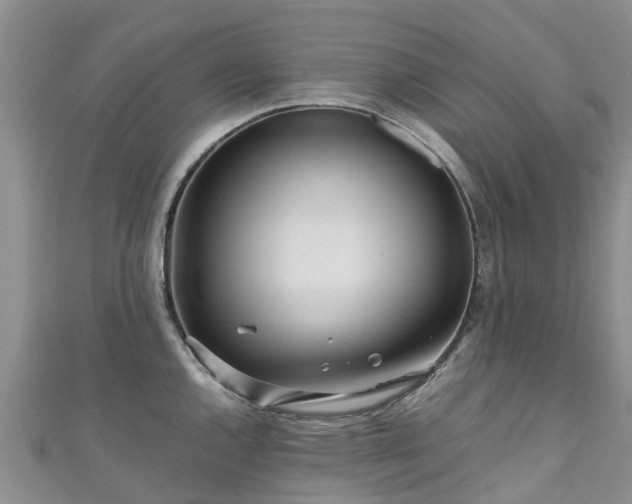 X0000110951144200906261315