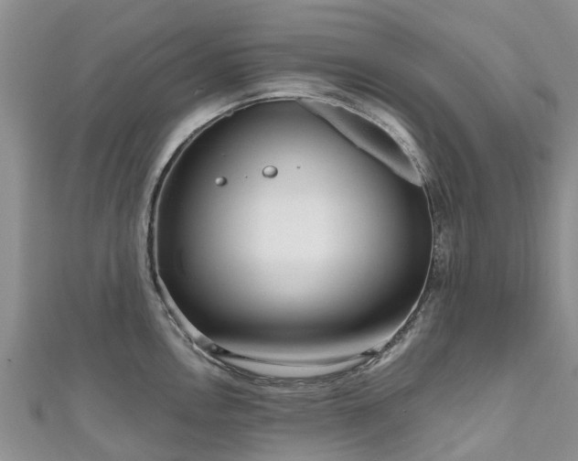 X0000110951146200906261316