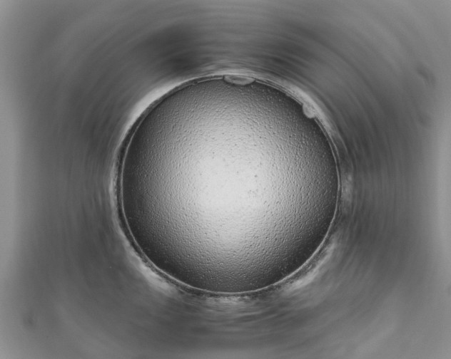 X0000110951149200906261316