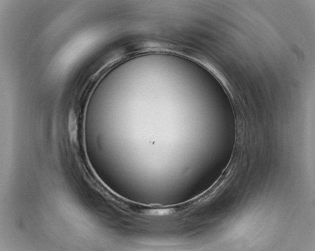 X0000110951151200906261316