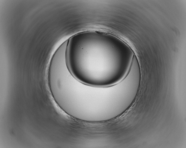X0000110951152200906261316